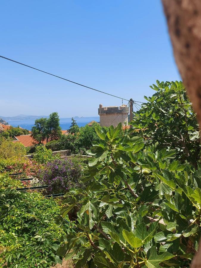 Dubrovnik Heritage Apartments Zewnętrze zdjęcie