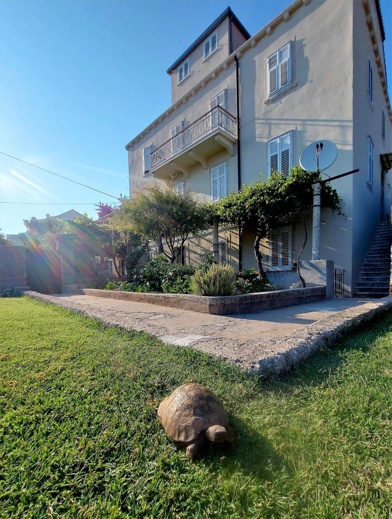 Dubrovnik Heritage Apartments Zewnętrze zdjęcie
